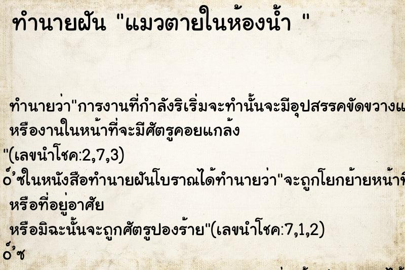 ทำนายฝันทำนายฝันแมวตายในห้องน้ำ
